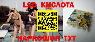мяу мяу мука Ставрополь
