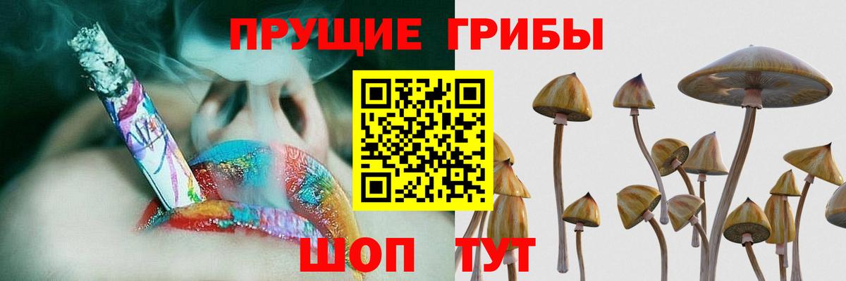Галлюциногенные грибы MAGIC MUSHROOMS  Вход с VPN  Петропавловск-Камчатский  Галлюциногенные грибы прущие грибы 